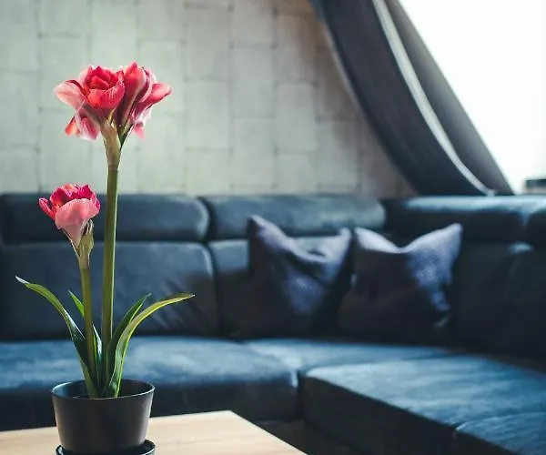 Hotel apartamentowy New Lux Wrocław