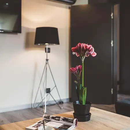 New Lux 아파트호텔 4*