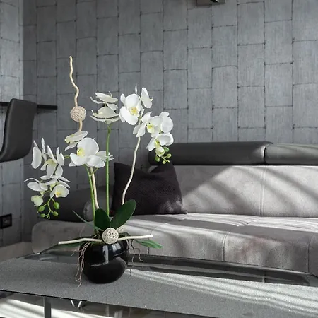 New Lux 4* 브로츠와프